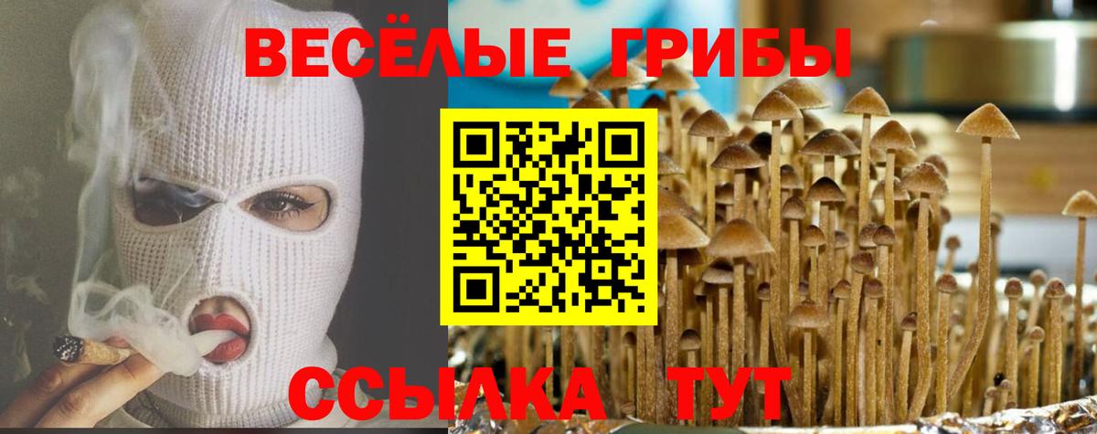 Галлюциногенные грибы мицелий  Вход с VPN  Барабинск 
